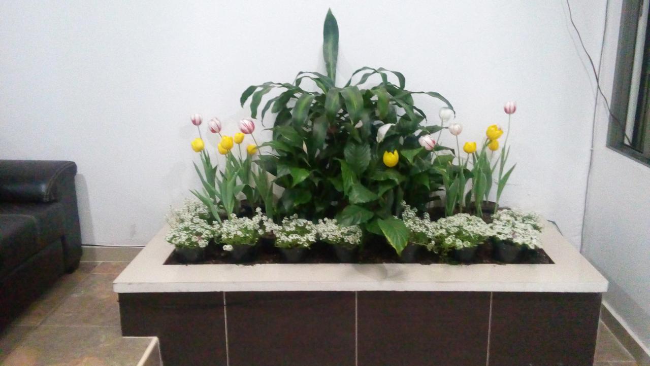 Hotel Alo Inn Xalapa Zewnętrze zdjęcie